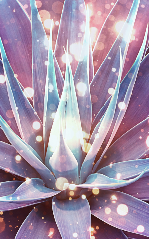 Dizainas be pavadinimo (9)